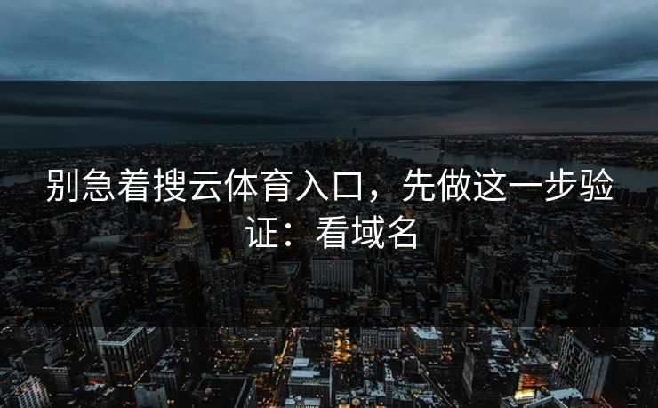 别急着搜云体育入口，先做这一步验证：看域名